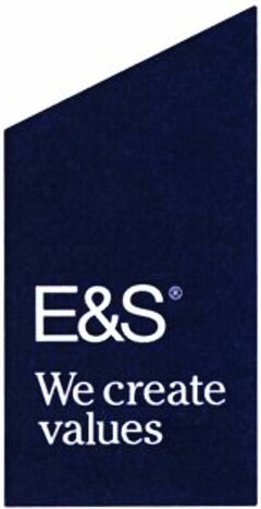 E&S We create values