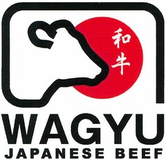 WAGYU JAPANESE BEEF