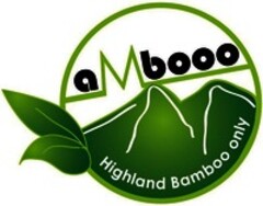 aMbooo Highland Bamboo only