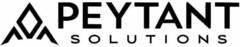 PEYTANT SOLUTIONS