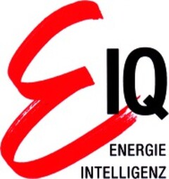 E IQ ENERGIE INTELLIGENZ