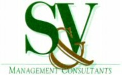 S&V MANAGEMENT CONSULTANTS