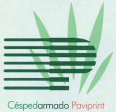 Céspedarmado Paviprint