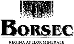 BORSEC REGINA APELOR MINERALE