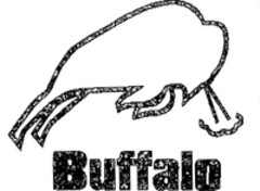 Buffalo