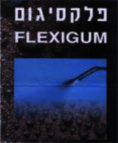 FLEXIGUM