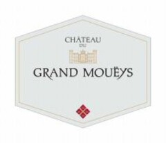 CHÂTEAU DU GRAND MOUËYS