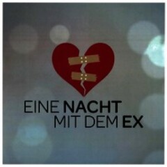 EINE NACHT MIT DEM EX