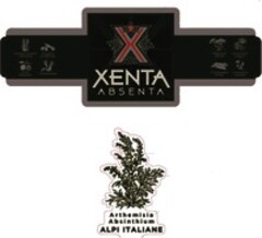 XENTA ABSENTA Arthemisia Absinthium ALPI ITALIANE