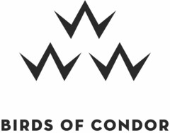 BIRDS OF CONDOR