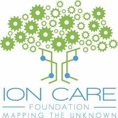 ION CARE FOUNDATION MAPPING THE UNKNOWN