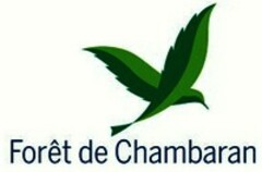 Forêt de Chambaran