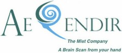 AERENDIR The Mist Company A Brain Scan from your hand