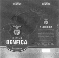 CERVEJA BENFICA A GLORIOSA