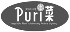 Puri Vegetable Plant solely using Artifical Lighting