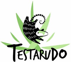 TESTARUDO