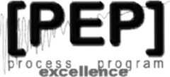 PEP process excellence program