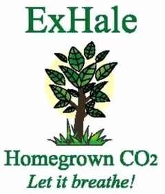 ExHale Homegrown CO2 Let it breathe!