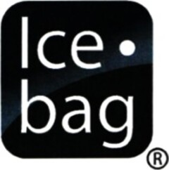 Ice bag