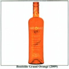 GRAND ORANGE Marie Brizard