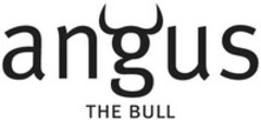 angus THE BULL