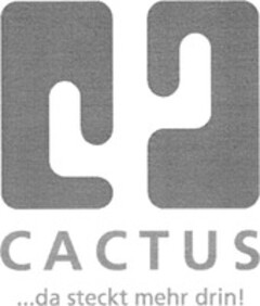 CACTUS ...da steckt mehr drin!