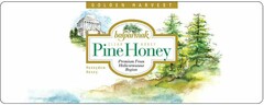 balparmak Pine Honey GOLDEN HARVEST