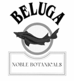 BELUGA NOBLE BOTANICALS