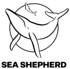 SEA SHEPHERD