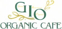 GIO ORGANIC CAFE Green Innocence Organic