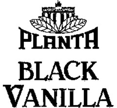 PLANTA BLACK VANILLA