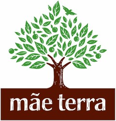 mãe terra