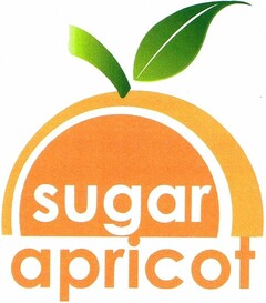 sugar apricot