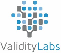 ValidityLabs