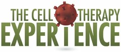 THE CELL THERAPY EXPERIENCE