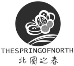 THE SPRING OF NORTH