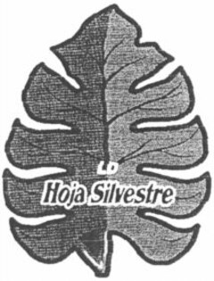 Hoja Silvestre