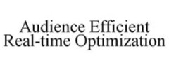 Audience Efficient Real-time Optimization