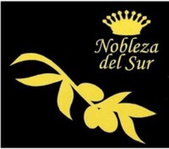 Nobleza del Sur