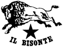 IL BISONTE