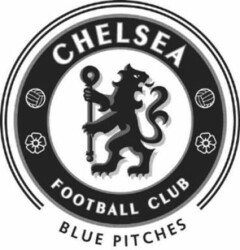 CHELSEA FOOTBALL CLUB BLUE PITCHES