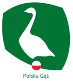Polsky Ges