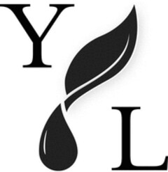 Y L