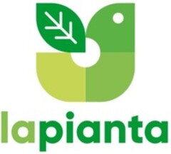 lapianta