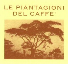 LE PIANTAGIONI DEL CAFFE'