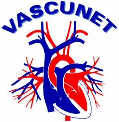 VASCUNET