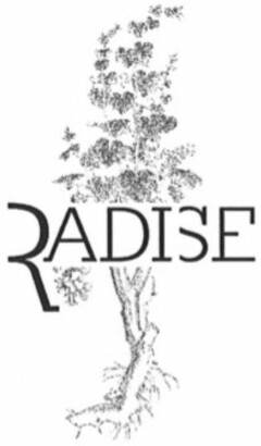 RADISE