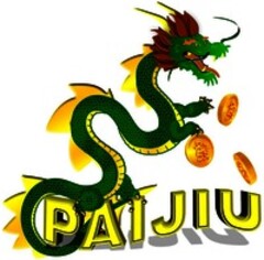 PAIJIU