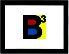 B3