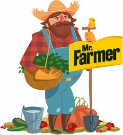 Mr. Farmer